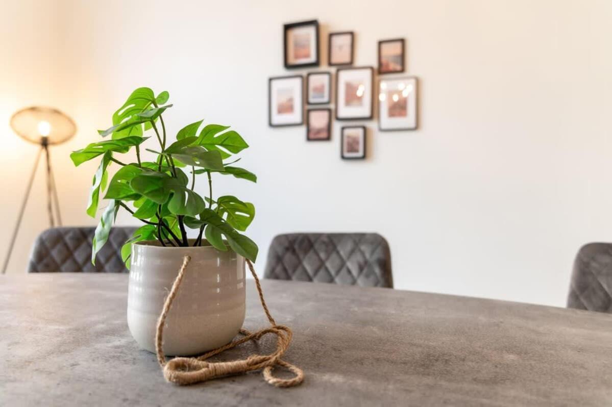 Beautiful Renovated Apartment In An Authentic Building Οστένδη Εξωτερικό φωτογραφία